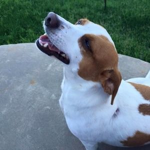 Meet your Posher, Debbi